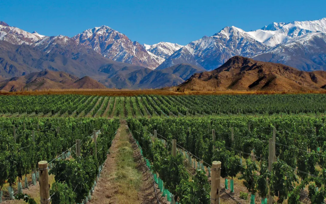 Valle de Uco, Malbec, enoturismo, Mendoza